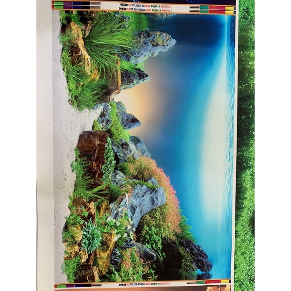 Tranh 3D dán hồ cá, bể thủy sinh siêu đẹp, siêu nét, tranh có keo sẵn trên bề mặt, có thể in theo kích thước yêu cầu