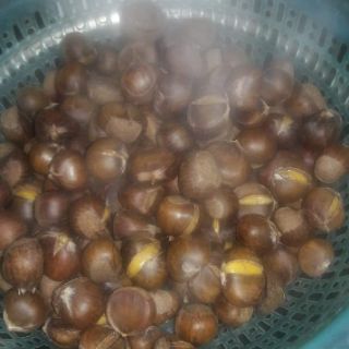 Combo 5kg hạt dẻ tươi Giá sỉ