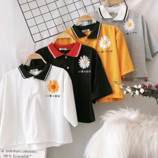 Áo thun croptop polo cổ bẻ in hoa cúc style Hàn Quốc