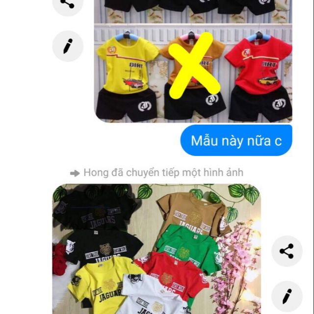 Combo 35 áo 35 bộ
