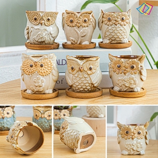 6pcs Chậu Hoa Sứ Mini Hình Cú Mèo Xinh Xắn