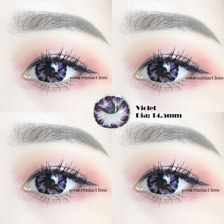 Lens Tím Violet + Hồng Pink 0 độ + khay gương dụng cụ