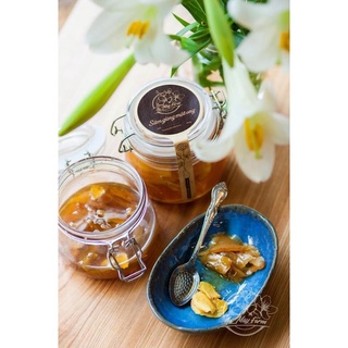 Sâm gừng mật ong Lá Mây 500ml