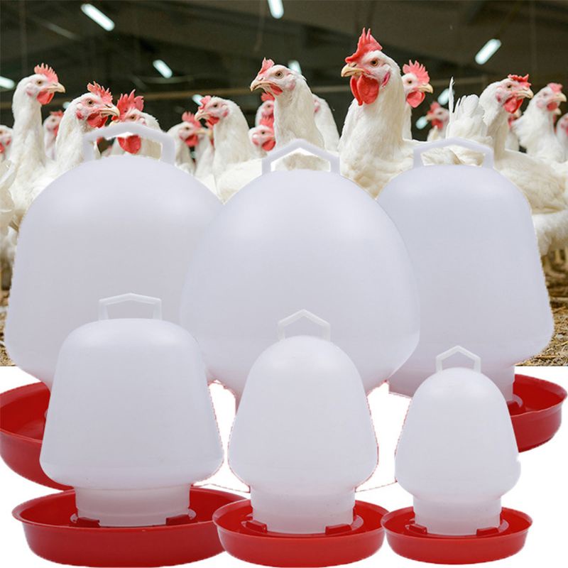 Dụng Cụ Tưới Nước Cho Gà Bằng Nhựa Dạng Treo Dễ Vệ Sinh