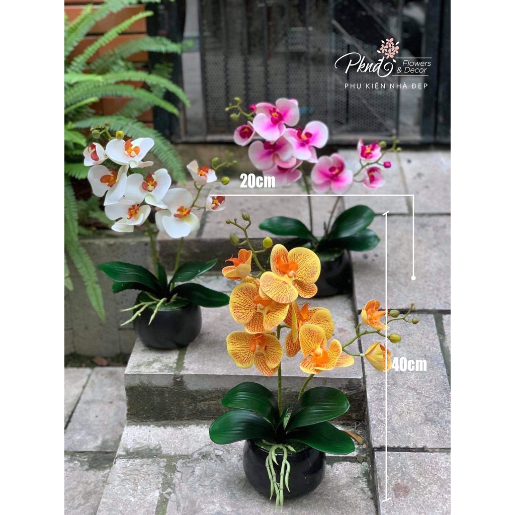 Chậu hoa giả lan cao su hai nhánh trang trí đẹp PKND FLOWERS & DECOR CH68