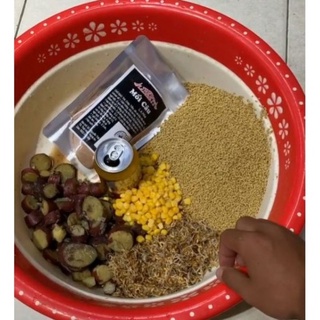 Mồi Câu Cá