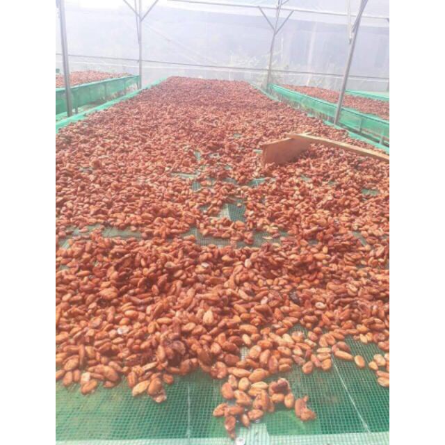 Bột Cacao Đắk Lắk Nguyên Chất Loại 1 - 500gram (Túi Zip)