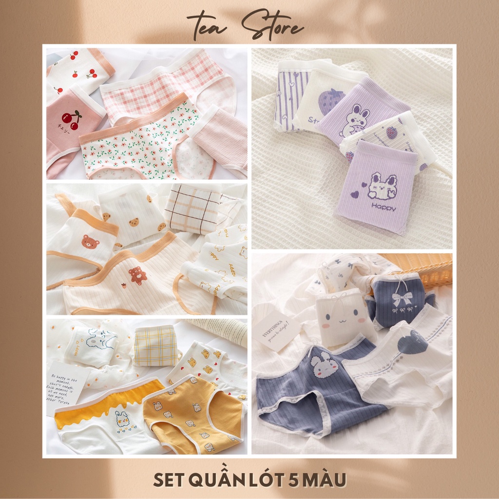 Set quần lót cotton Tea Store họa tiết dễ thương