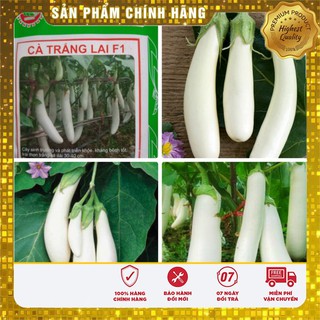 Hạt giống cà trắng lai năng suất gói 2 gram