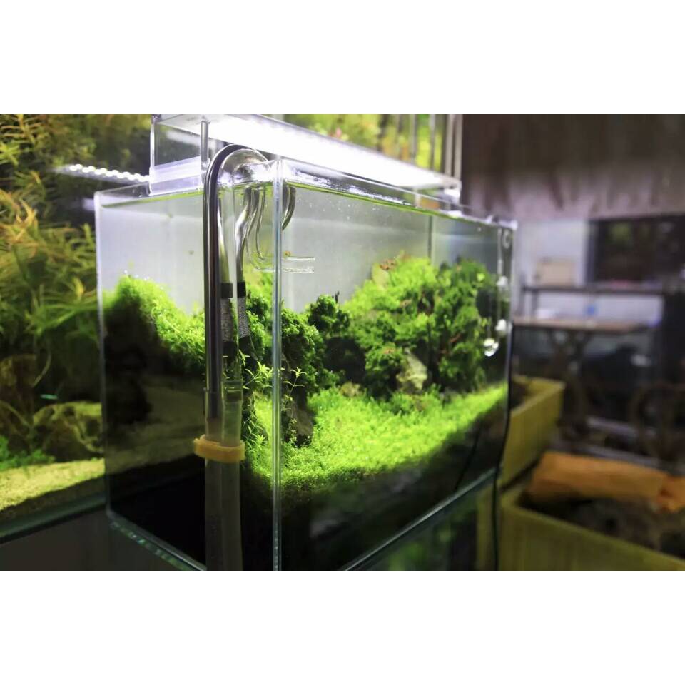 ĐÈN LED CHIHIROS A SERIA 301, ASERIA 501