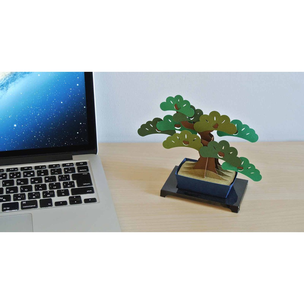 Bộ kit mô hình Kami-bonsai Nhật Bản (mô hình cây bonsai bằng giấy)