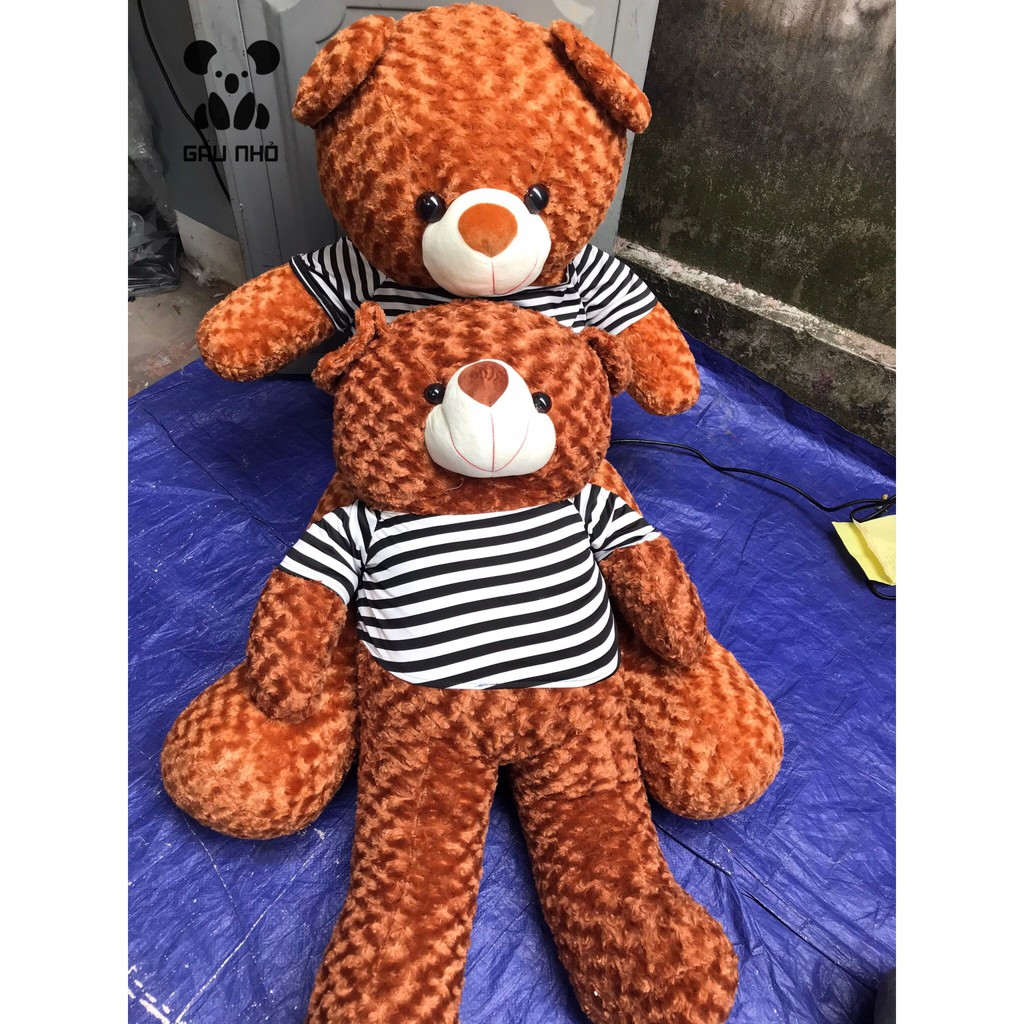 Gấu Teddy Siêu To Khổng Lồ 1M5 - 1M8 - Shop Gấu Nhỏ