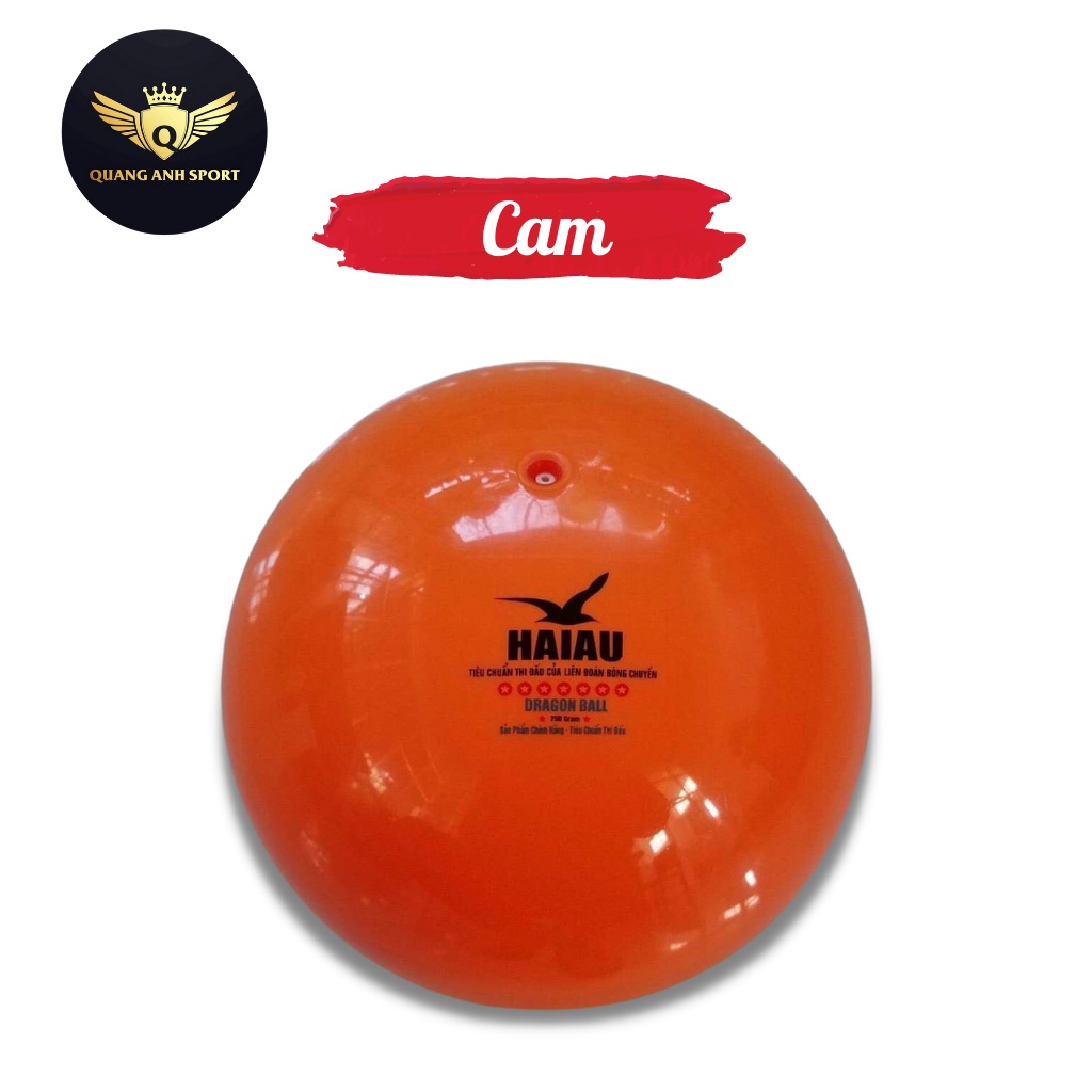 Quả bóng chuyền hơi Hải Âu 200g , 250g _banh bóng chuyền hơi đạt tiêu chuẩn thi đấu tặng kim + Lưới