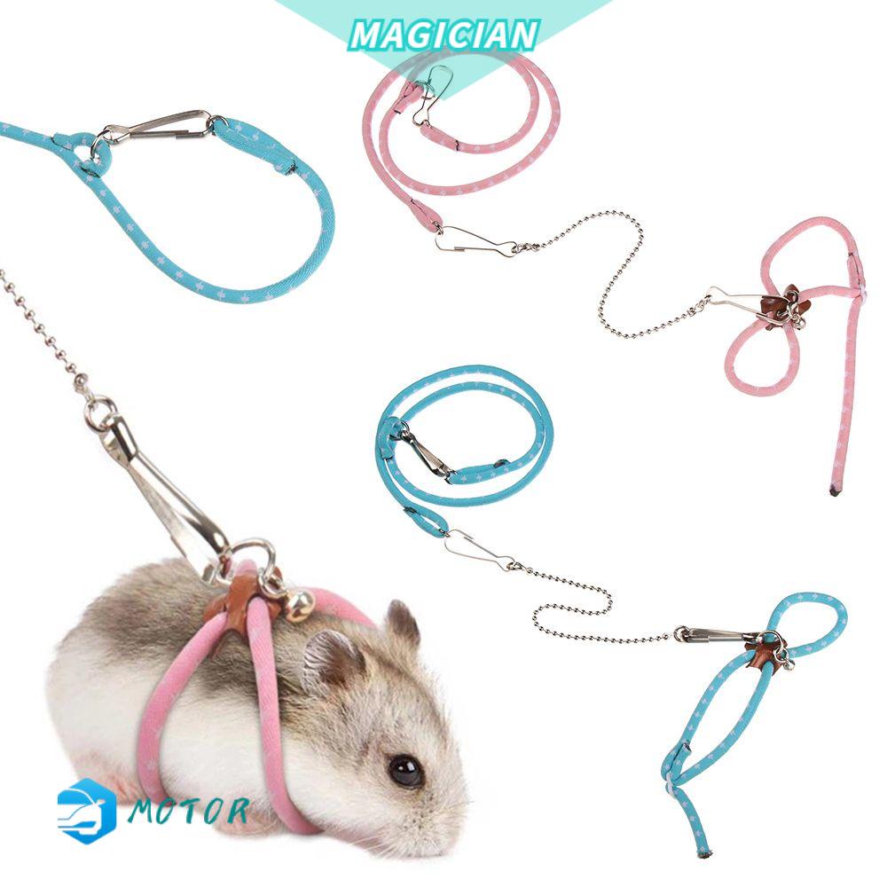 Dây dắt thú cưng đi dạo bằng nylon mềm mại có thể điều chỉnh nhiều màu