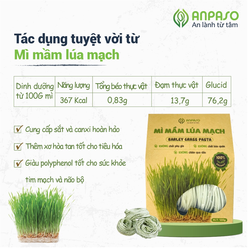 Mì Rau Organic Mầm Lúa Mạch Hữu Cơ Anpaso, Eat clean, Giảm Cân, ăn chay, ăn kiêng, không chiên nóng 120g