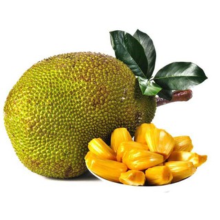 500g Mít Sấy Khô Thơm Ngon