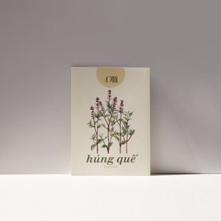 Hạt giống non-GMO - Cây Húng Quế | non-GMO Basil