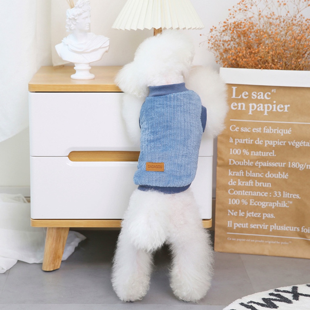 Áo Len Giữ Ấm Cho Thú Cưng Màu Sắc Dễ Thương