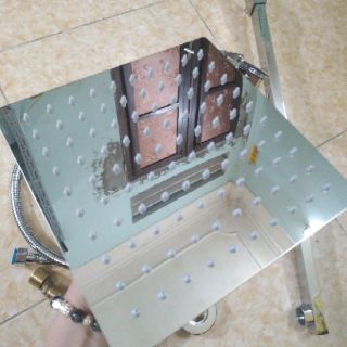 Cây sen tắm Toto