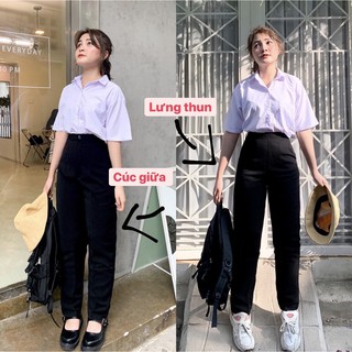 Combo Quần Tây Cúc Giữa Và Quần Tây Lưng Thun - Dáng Daggy Dài Đi Học Đi Làm Công Sở Có Bigisze