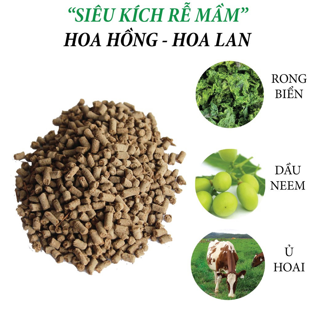 Phân bón hữu cơ rong biển DOCNEEM túi 1kg, kết hợp neem cake kích rễ mầm lá, cho Hoa hồng, phong lan, cây cảnh, rau sạch