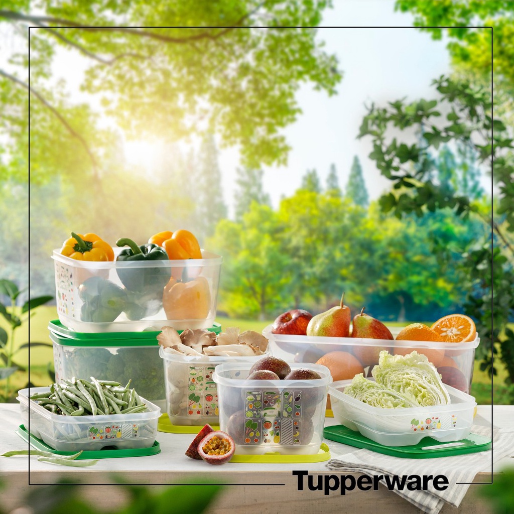 Bộ hộp Trữ Mát Có Nút Hô Hấp Tupperware Ventsmart 7 Hộp