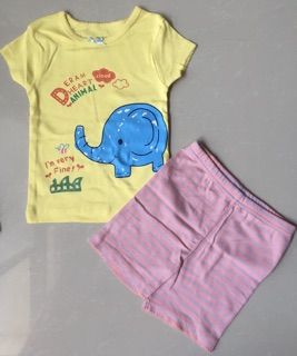 Bộ Carters bé gái Size 2-8T (tt)