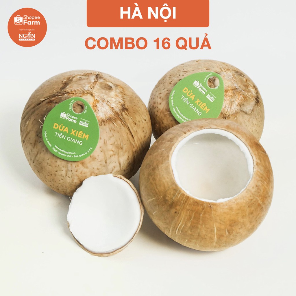 [HN] Hộp 9 Quả Dừa Xiêm Tiền Giang Loại 1 Vị Ngọt Đậm Tươi Ngon - Shopeefarm