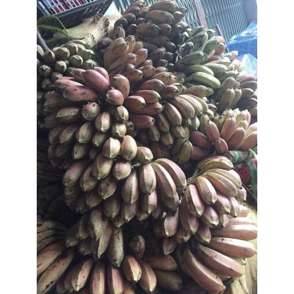 1kg chuối hột rừng nguyên quả to phơi khô tự nhiên (sạch, thơm, mới)