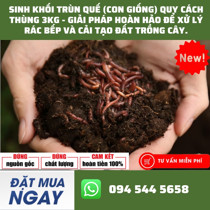Sinh Khối Trùn Quế (Con Giống) Quy Cách Thùng 3KG - Giải Pháp Hoàn Hảo Để Xử Lý Rác Bếp Và Cải Tạo Đất Trồng Cây.