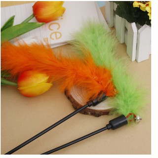 Gậy Dạy Nhảy, Để Mèo Vờn Bắt. Bằng Lông