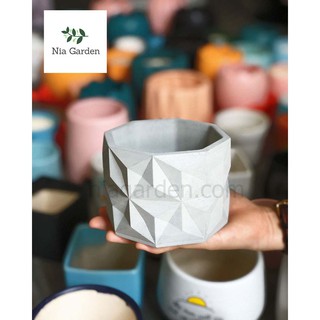 Chậu xi măng trồng cây cảnh lục giác