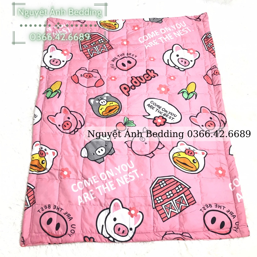 Freeship50k Chăn chần bông cho bé đi học, mền đắp cotton chần gòn mỏng cho bé mầm non