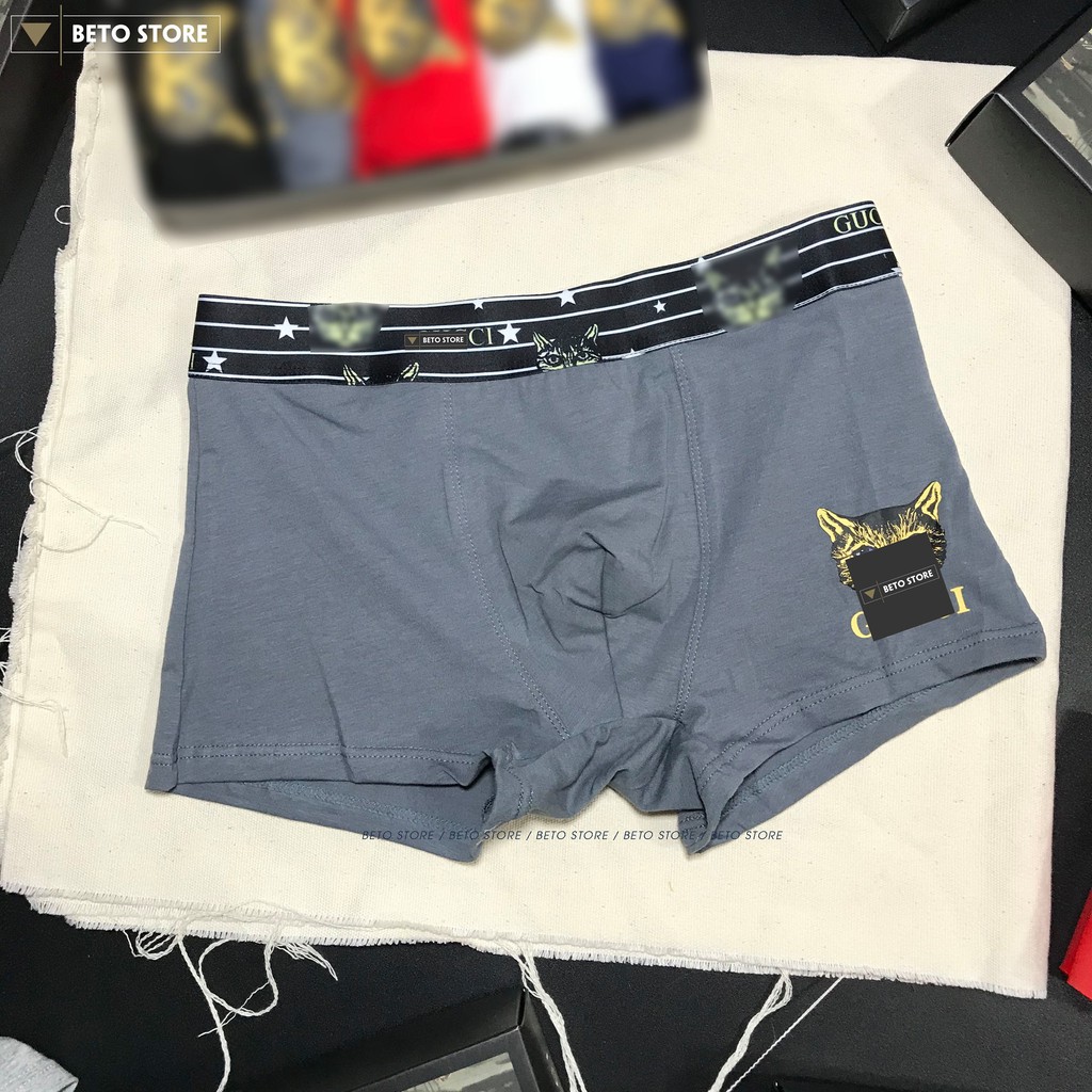 Quần Lót Nam, Sịp Đùi Cao Cấp GC Cat