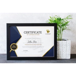 Khung ảnh, bằng khen A4(21×30), 20×25 treo tường mặt kính giá rẻ
