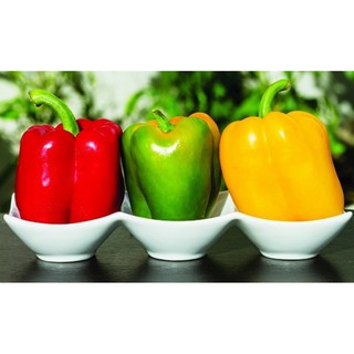 Hạt giống ỚT CHUÔNG MIX MÀU