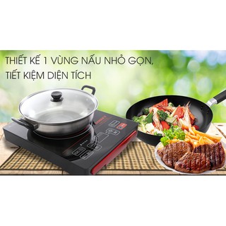 Bếp hồng ngoại sanaky snk-2101hg