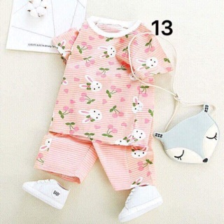 Bộ cotton tre