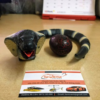 [hanoitoy] Rắn hổ mang chúa điều khiển từ xa có thể xoay 360 độ