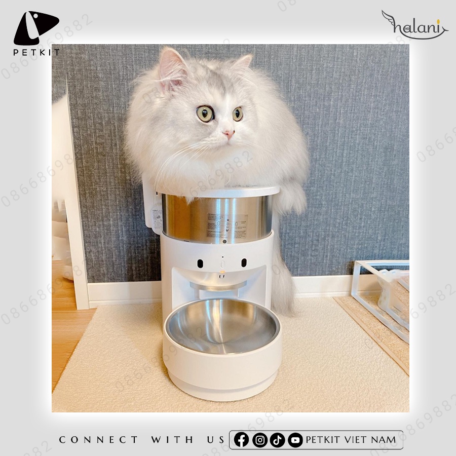 Máy Cho Mèo Ăn Tự Động Petkit Fresh Element Dung Tích 5L Bảo Hành 12 Tháng