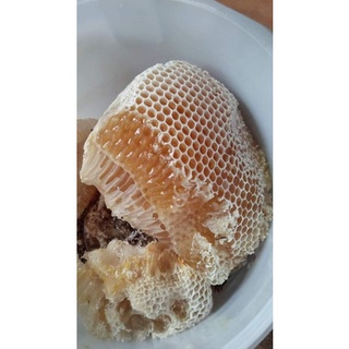  chai mật ong hoa tổng hợp Nguyên chất 1lít 