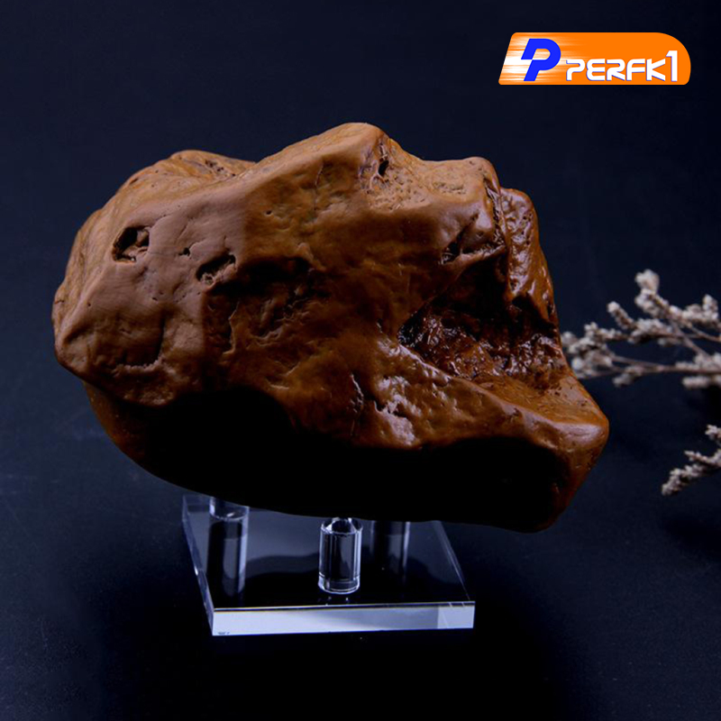 Đế Nhựa Trong Suốt Trưng Bày Đá Quý | BigBuy360 - bigbuy360.vn