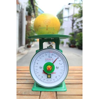 Cây Vú Sữa Hoàng Kim