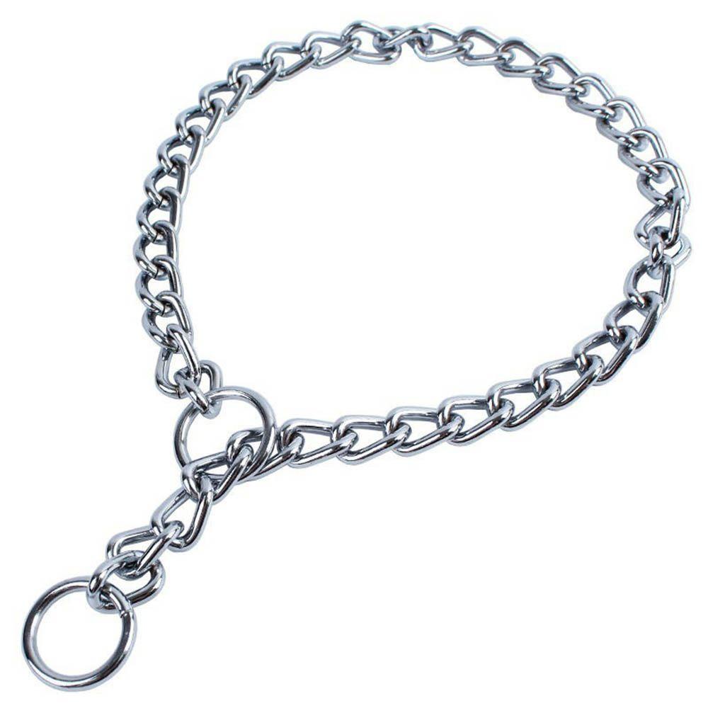 (MớI) Vòng Cổ Choker BằNg Kim LoạI AARON1 Cho Thú Cưng
