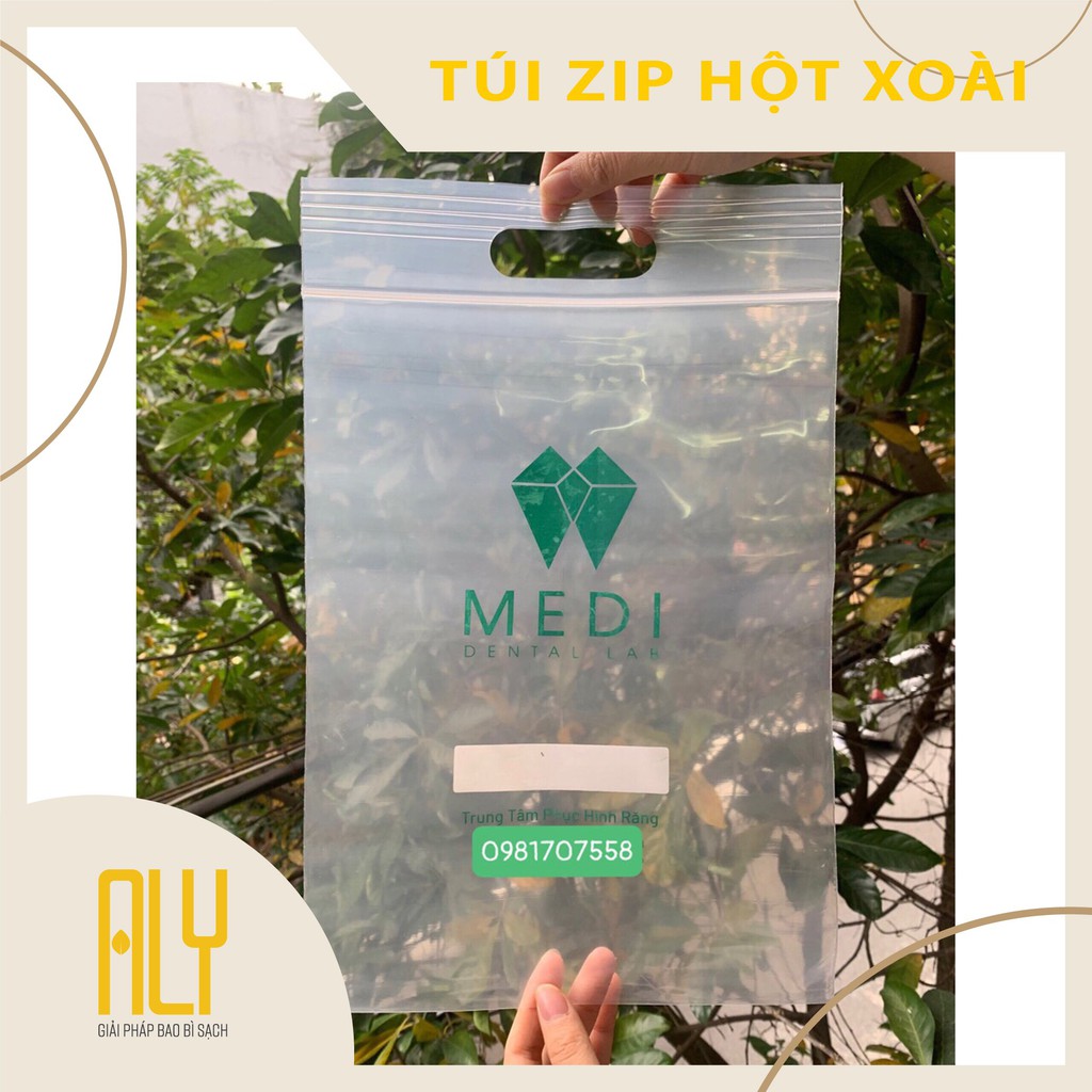 Túi zip hột xoài, túi có quai xách đựng quần áo size 25x35 cm