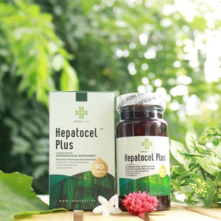 Thảo dược tăng cường chức năng gan, hỗ trợ các bệnh về gan-Teresa Herbs Hepatocel Plus (Made in USA)