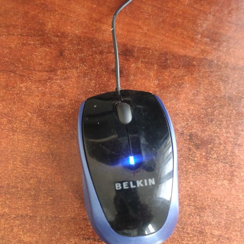 chuột belkin