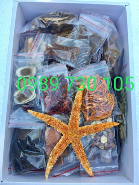 MINH MẠNG THANG HỘP  ĐỦ 33 VỊ 1.2KG 2 tắc kè