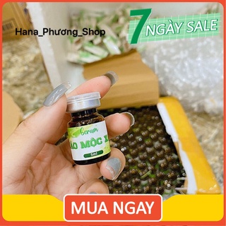 Sỉ 10 lọ thảo mộc xanh - chính hãng