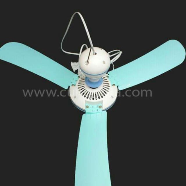 QUẠT TRẦN- QUẠT MÙNG ĐUỔI RUỒI MUỖI | BigBuy360 - bigbuy360.vn